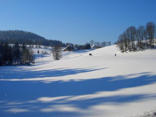 Hotel-Pension Thome Hinterzarten Eksteriør bilde